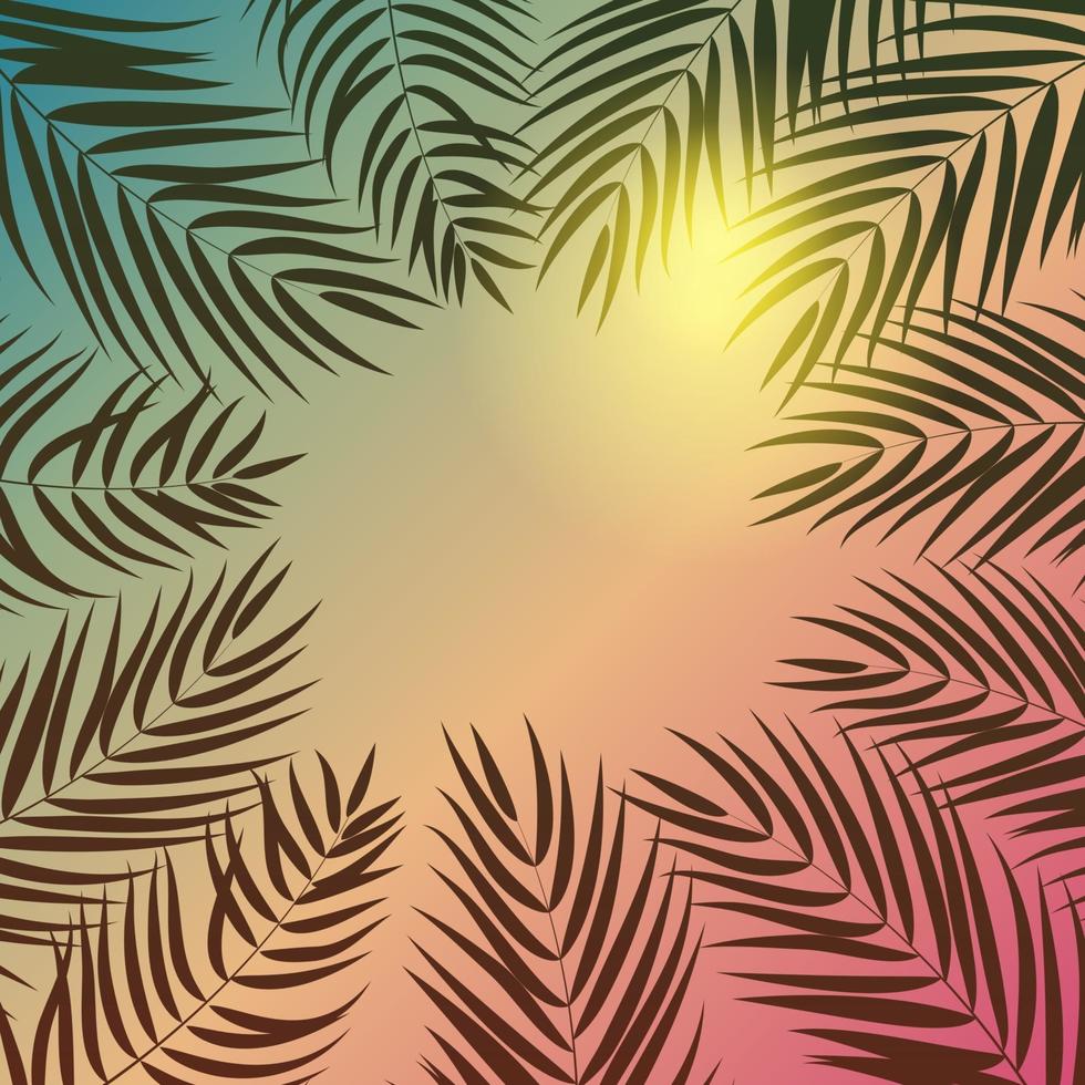 beautifil, palmera, hoja, silueta, plano de fondo, vector, ilustración vector