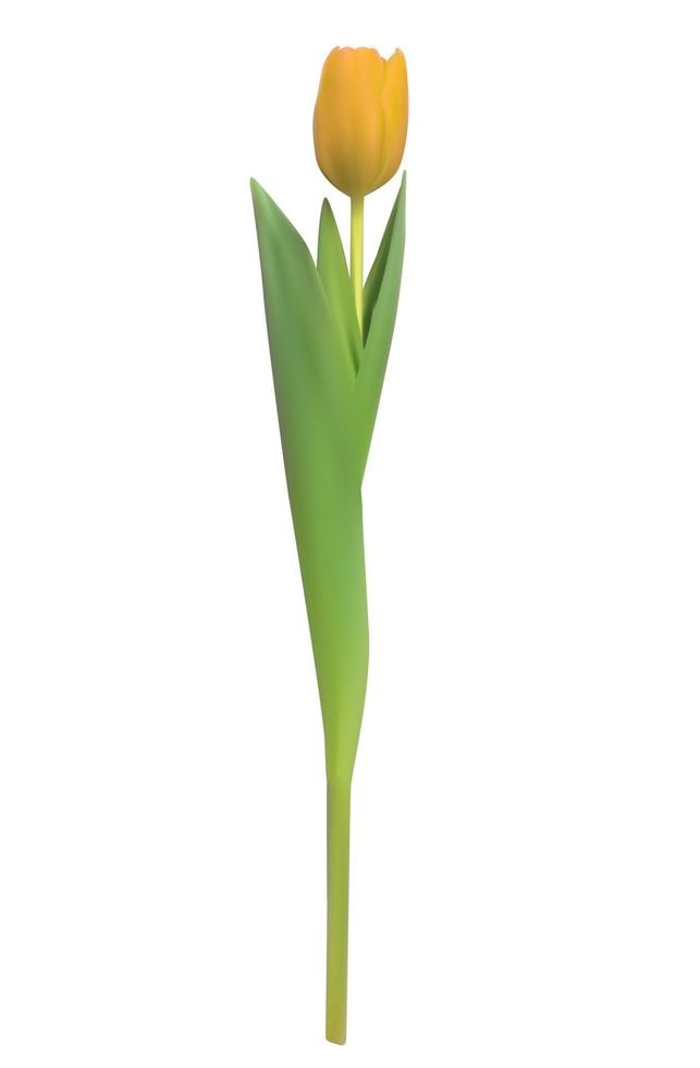 Realistic Vector Illustration Colorful Tulip. Yellow Flower on Light Background