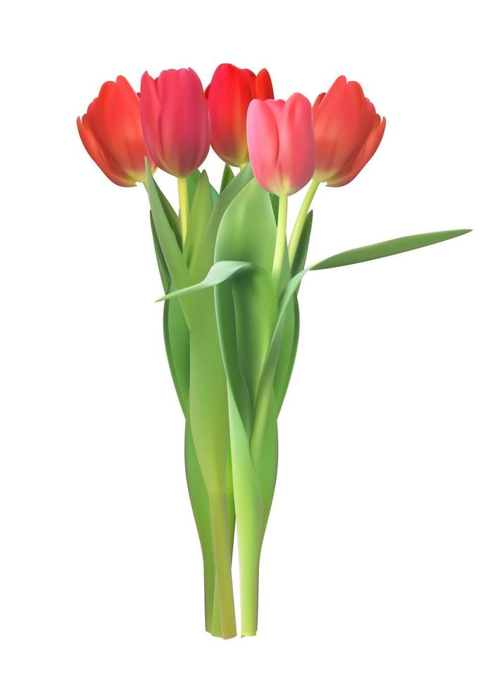 Realistic Vector Illustration Colorful Tulips. Red Flowers on Light Background