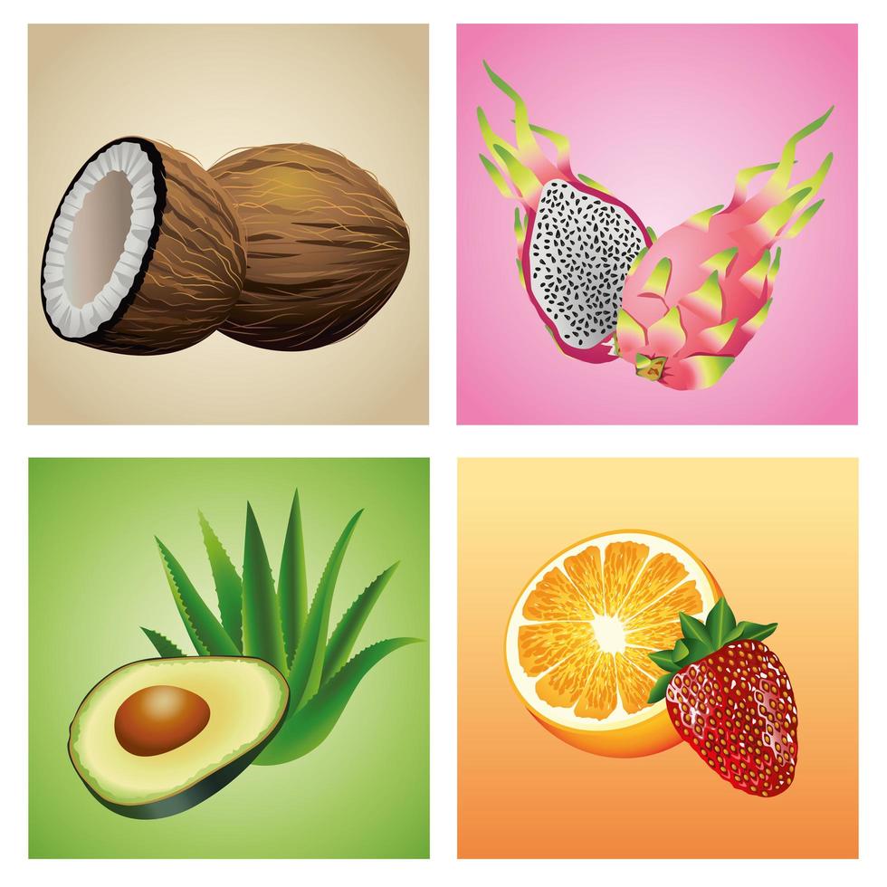 bundle of six tropical fruits and plants set icons vector