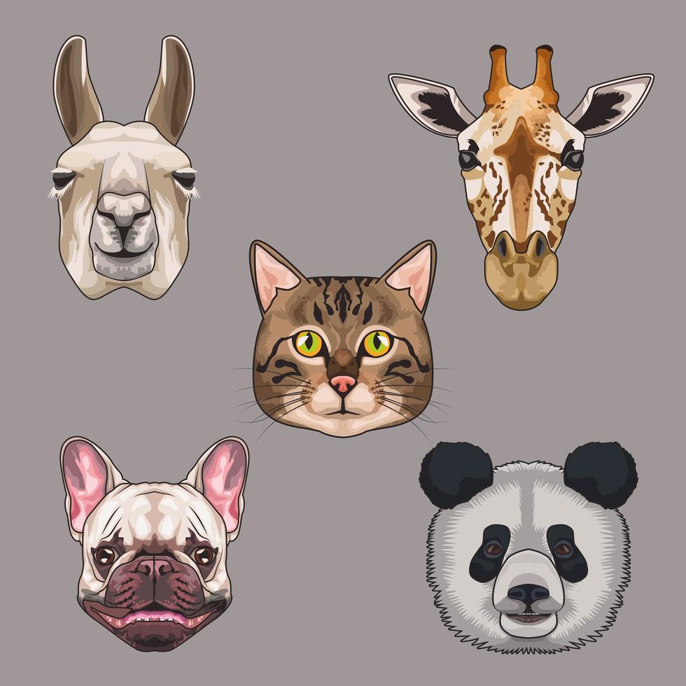 paquete de cinco animales domésticos y salvajes iconos de conjunto vector