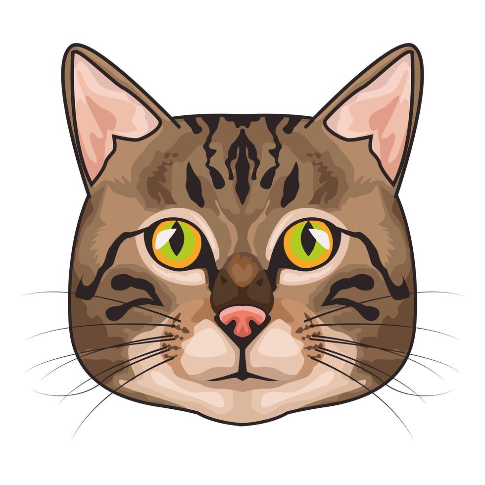 cat animal domestic head character in white background vector