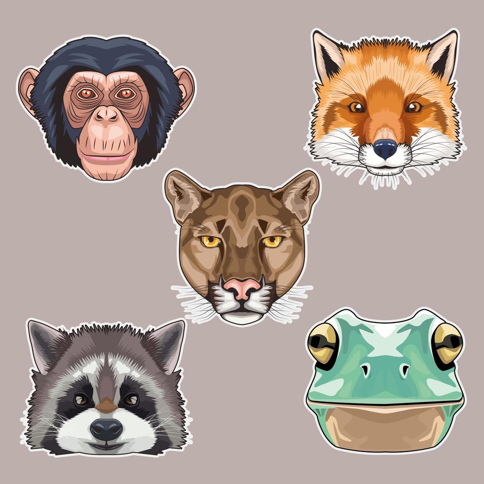 paquete de cinco iconos de personajes de cabezas de animales vector