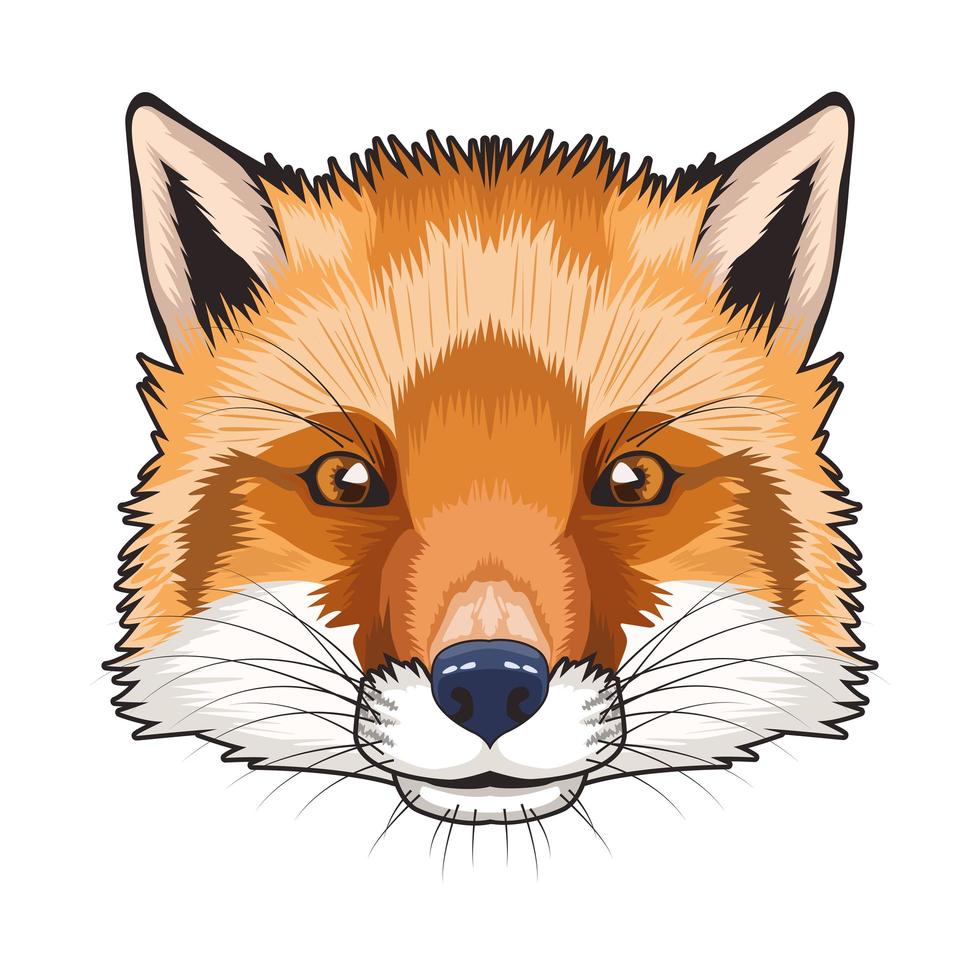 fox animal wild head character in white background vector