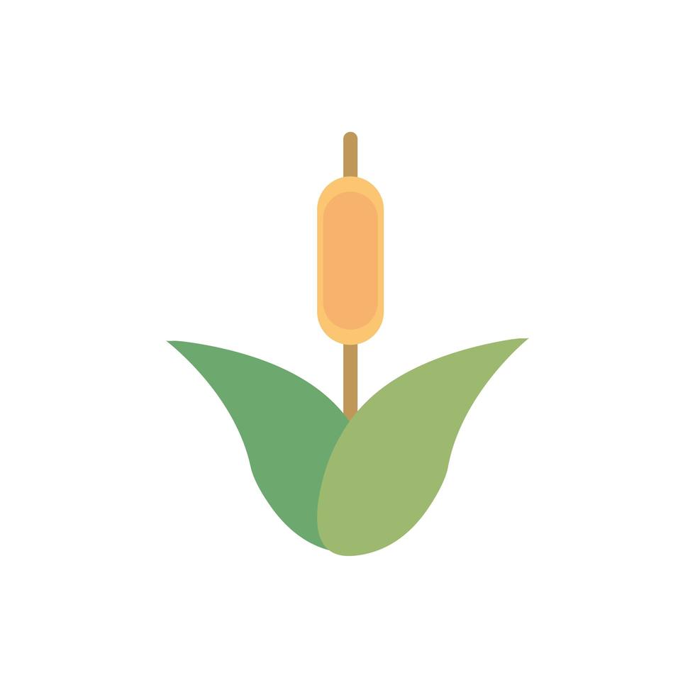 flower spike foliage natural floral botanical icon vector