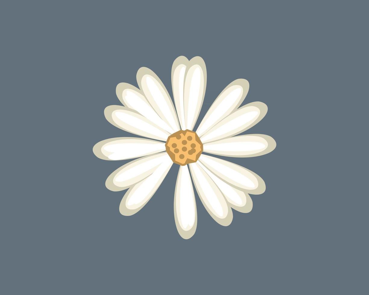 white flower abstract design nice vector