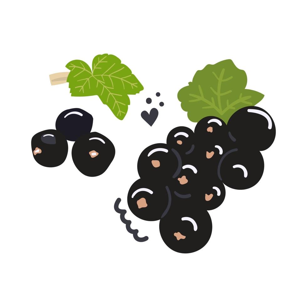 Hand drawn black currant berries Flat illustration vector