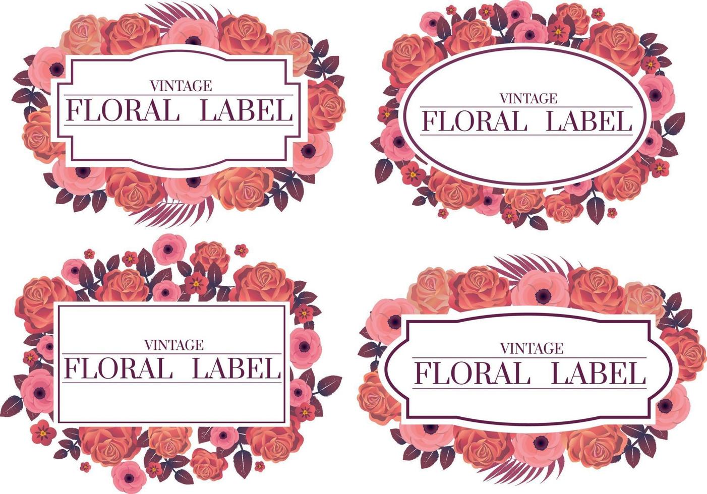 rose labels female design frame vector