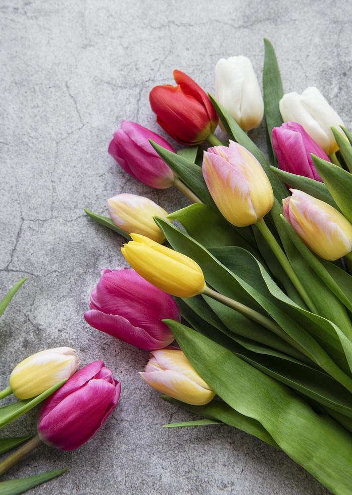 tulipanes de primavera sobre un fondo de hormigón foto