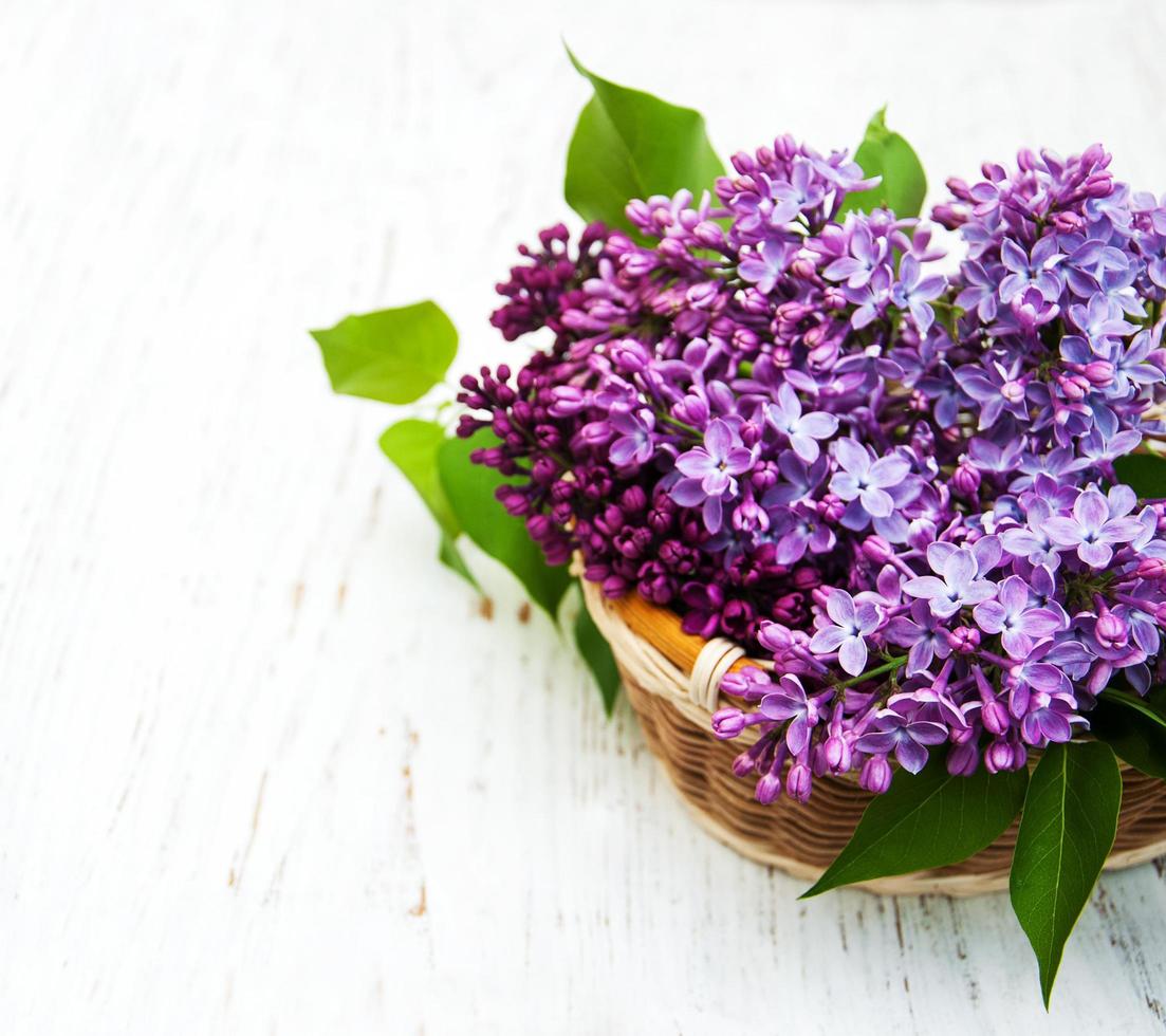 Lilac flowers in a basket photo