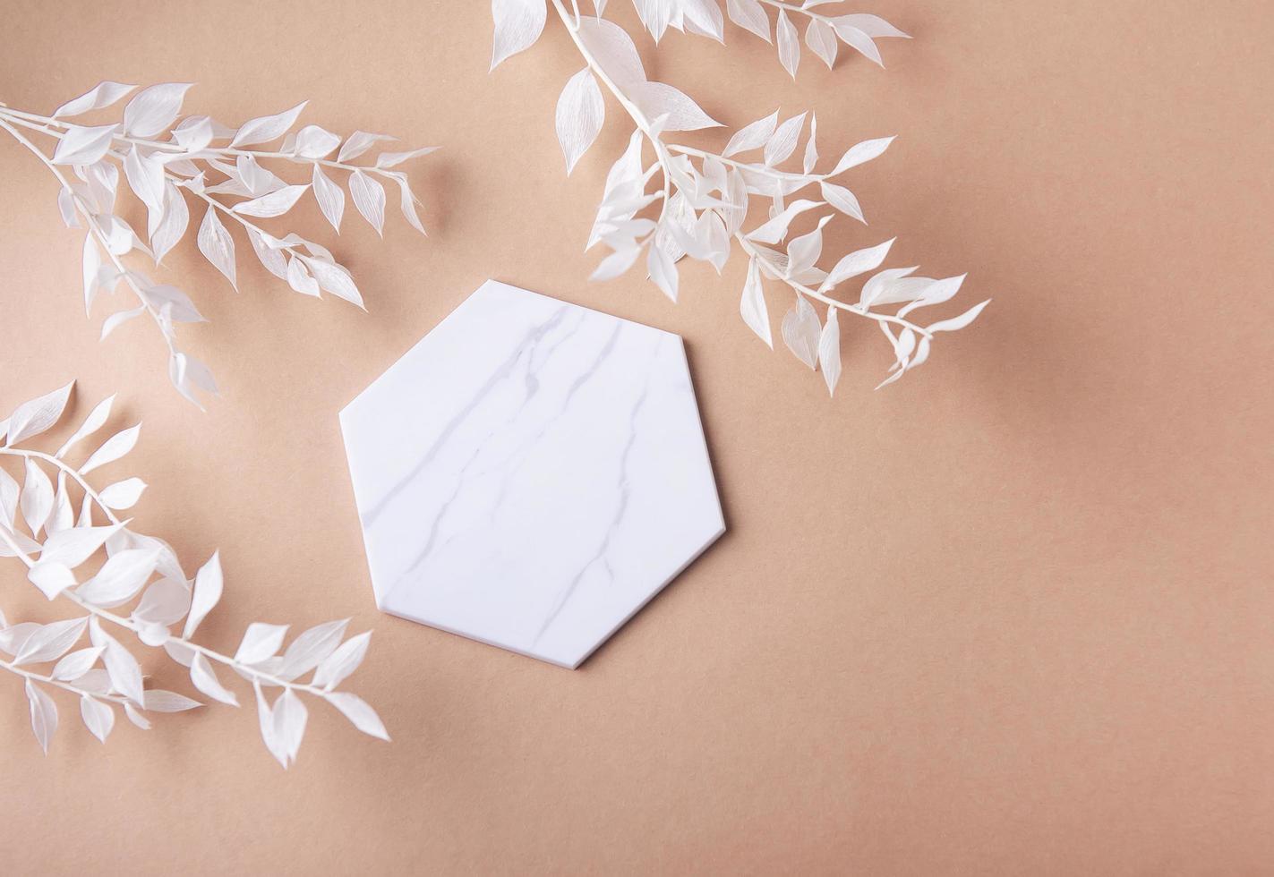 Frame of white branches on a brown background photo