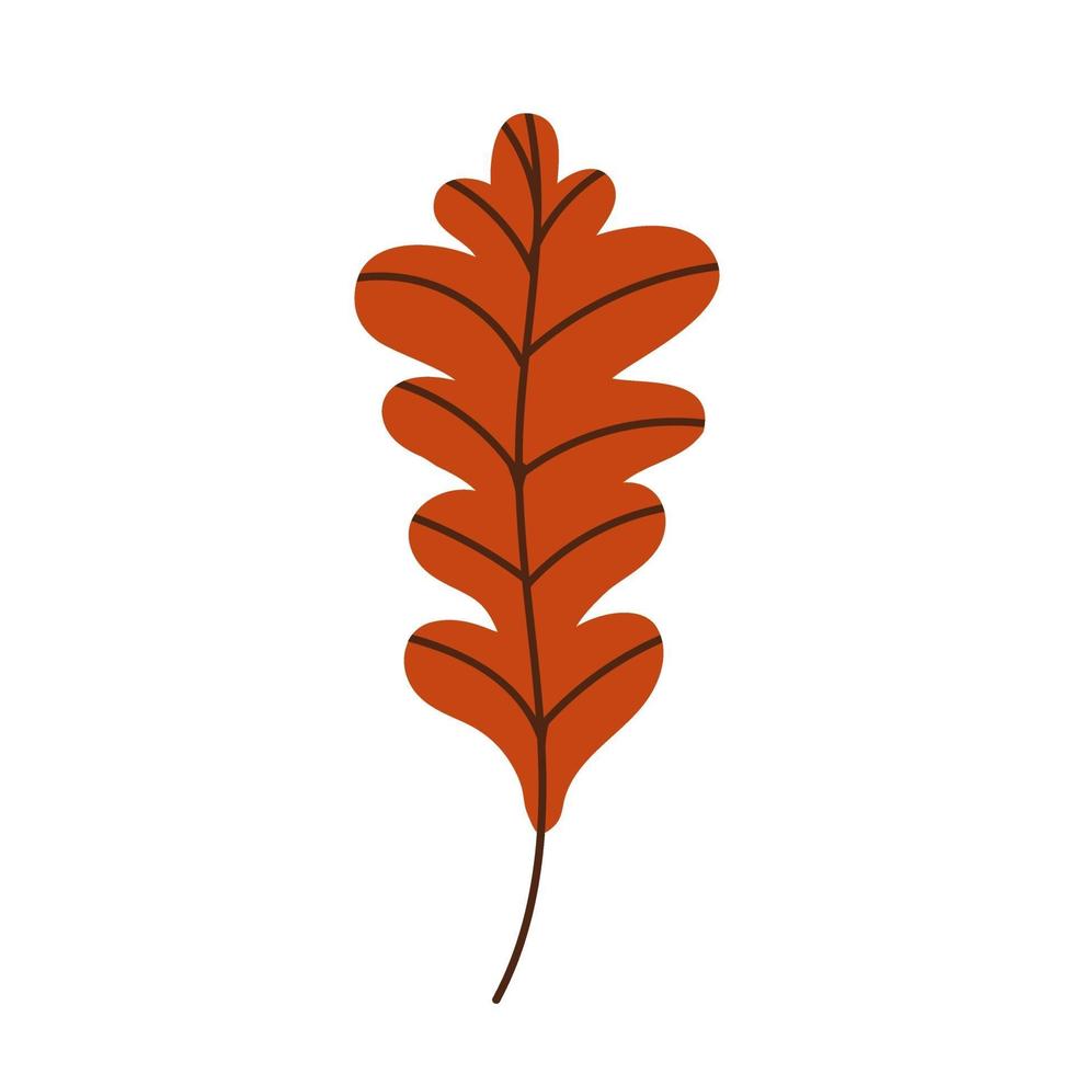 Orange oak leaf isolated on a white background. Fallen oak leaf. Flat vector illustration. Autumn leaves