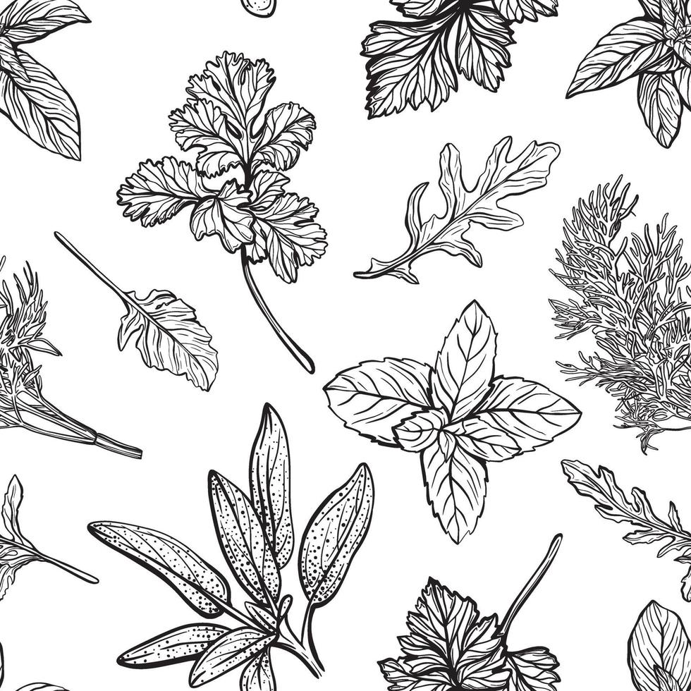 Italian and Provencal herbs seamless pattern. Mediterranean seasonings and herbs pattern. Hand-drawn vector illustration