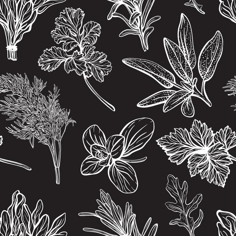 Wild grass seamless pattern. Field herbs and garden medical plants, useful seasonings. Hand-drawn vector illustration.