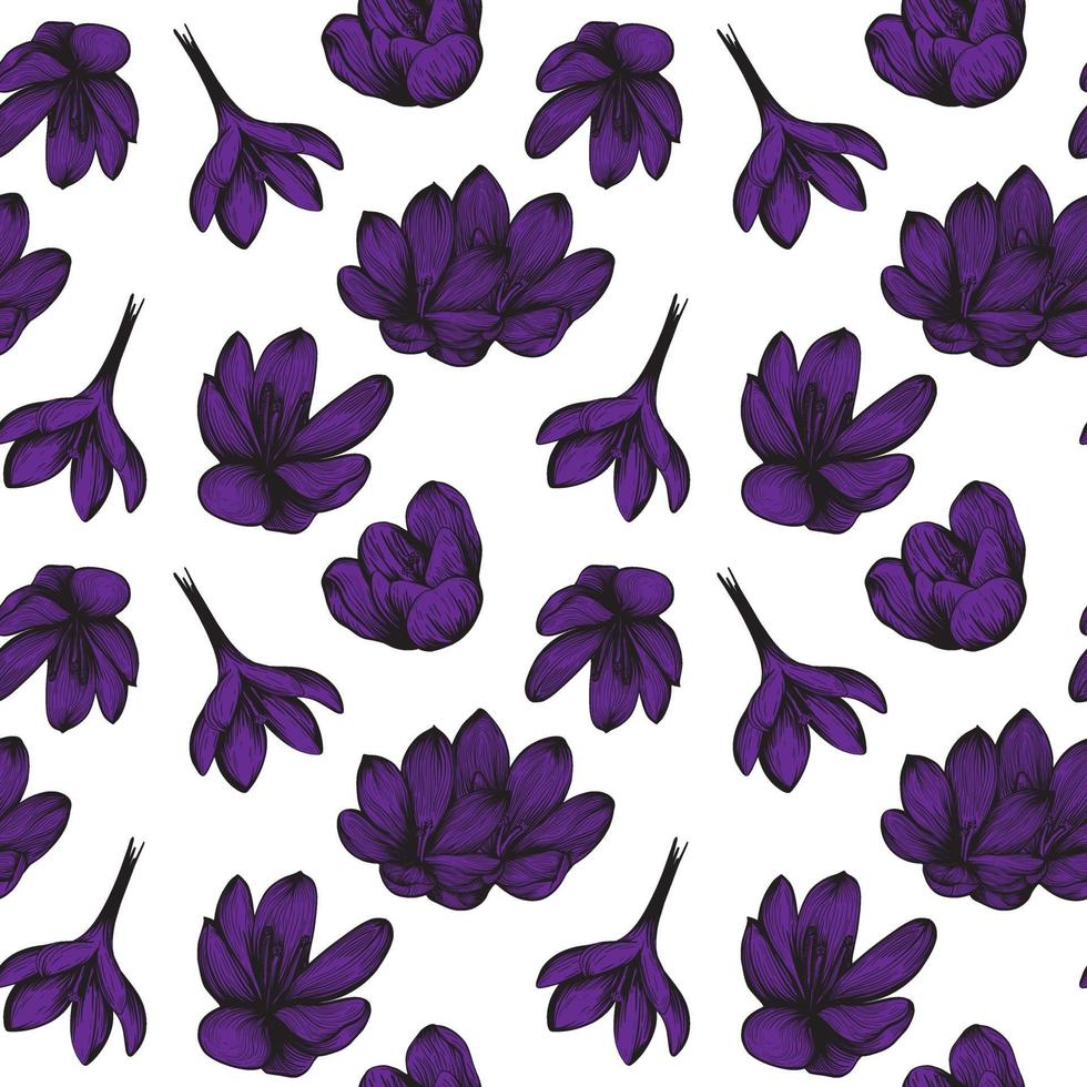 Saffron seamless pattern. Crocus flower on a blue background pattern. Hand-drawn vector illustration