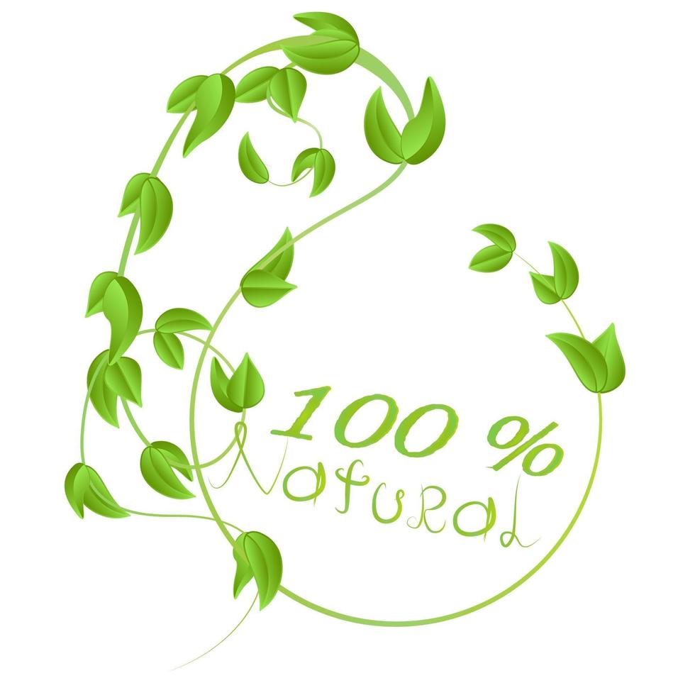 round frame of branches with fresh green leaves with natural inscription isolated on white background vector