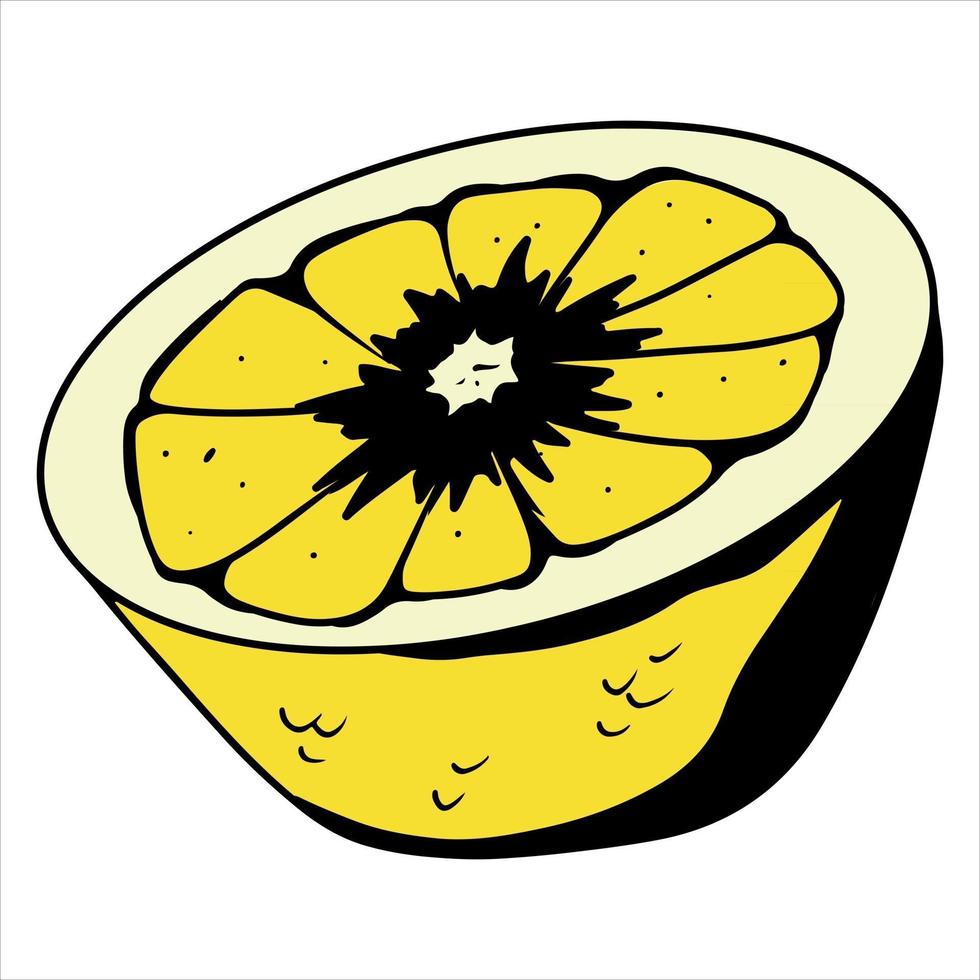 Slice of lemon Yellow lemon for tea Vitamin C Citrus fruit Cartoon style vector