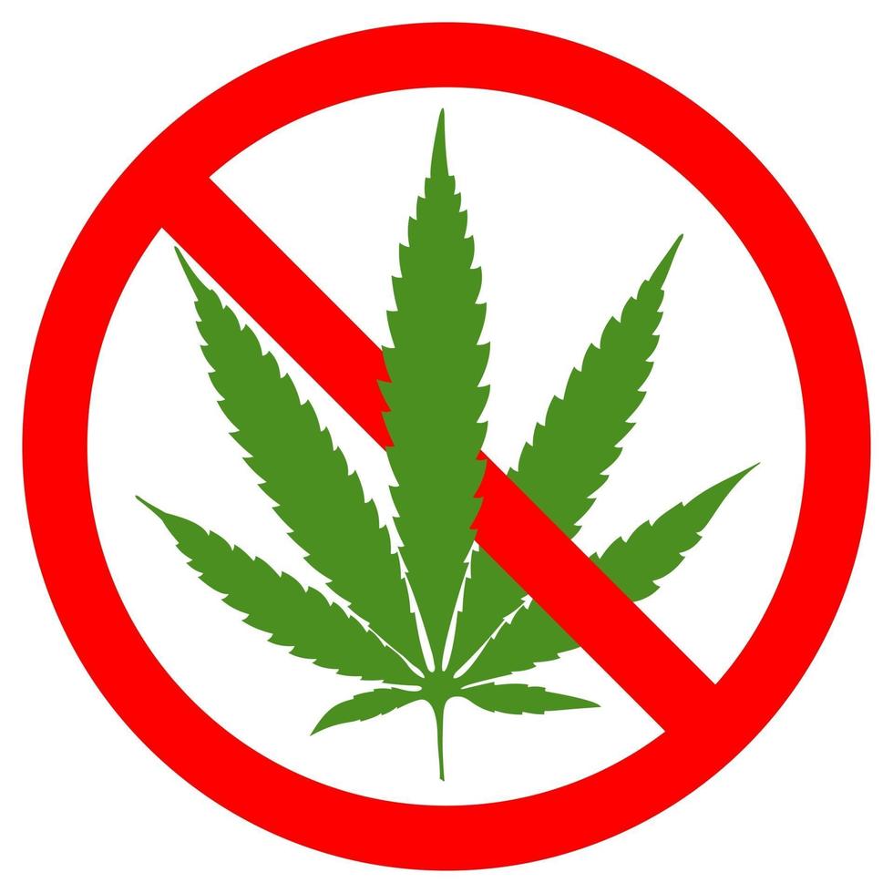 no hay signo simbólico de marihuana círculo rojo hoja verde fondo blanco ilustración vectorial vector