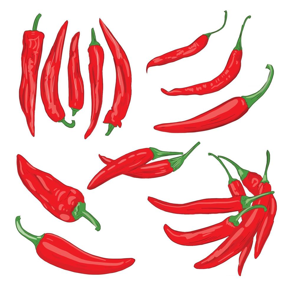 Vector illustration of red vegetables of cayenne hot pepper on a white isolated background