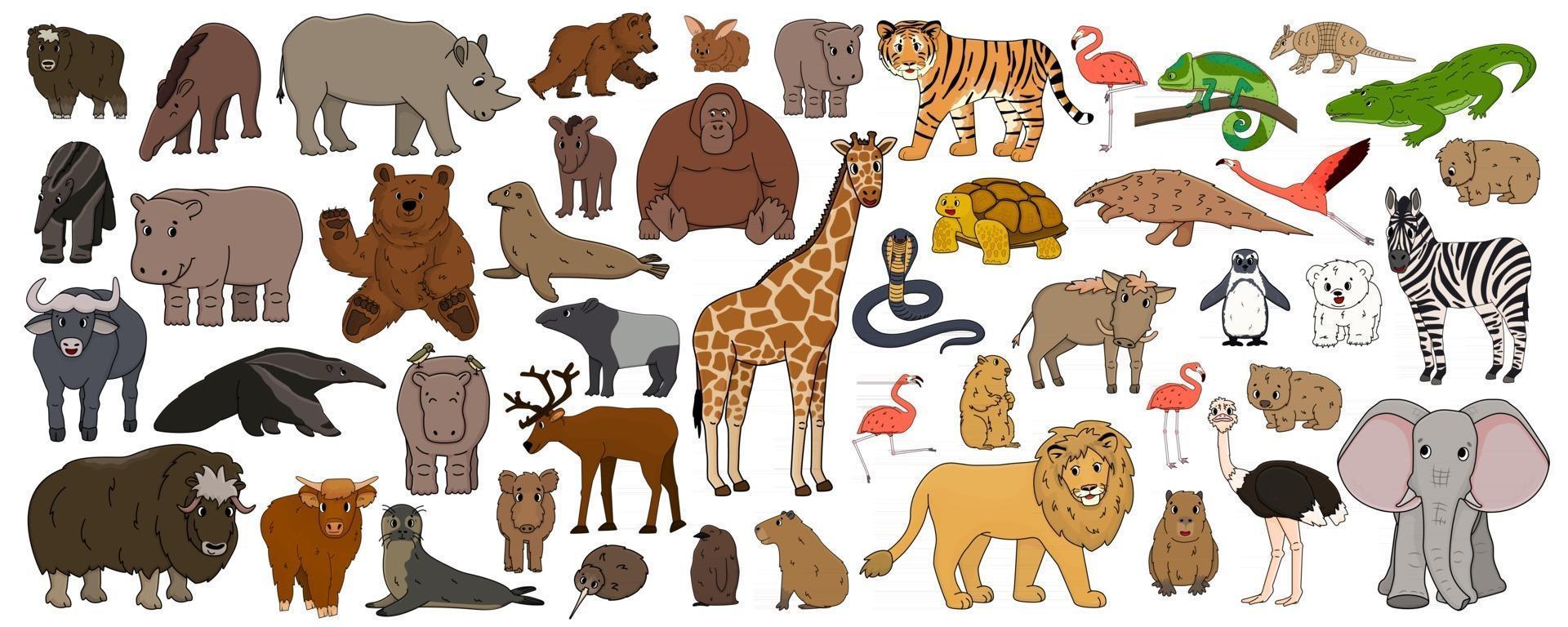 Set of cartoon isolated outline Savannah African American forest animals Vector tiger lion rhinoceros buffalo zebra elephant giraffe crocodile tapir hippo bear orangutan penguin flamingo for children