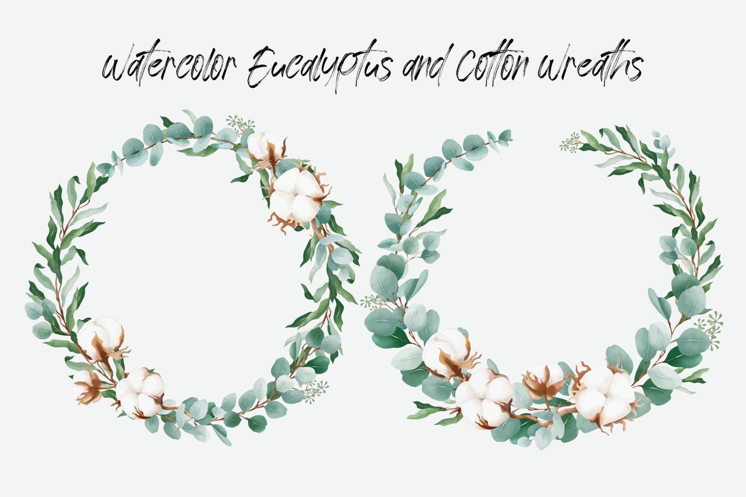 Watercolor floral wreath with cotton flower and eucalyptus leaves vector