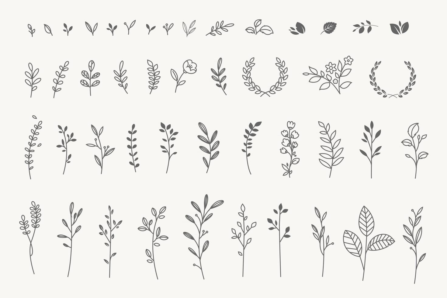 conjunto de elementos florales elegantes para diseño gráfico y web vector