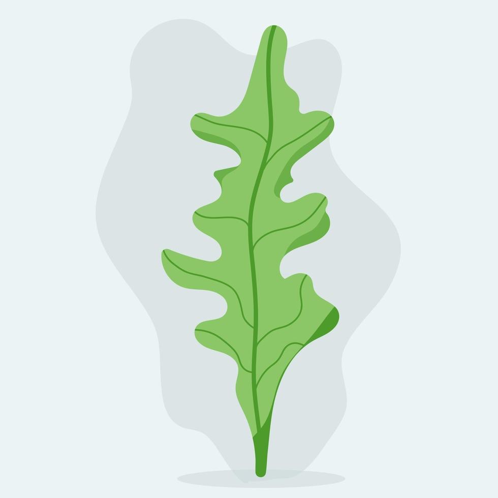 Green leaf isolated vector