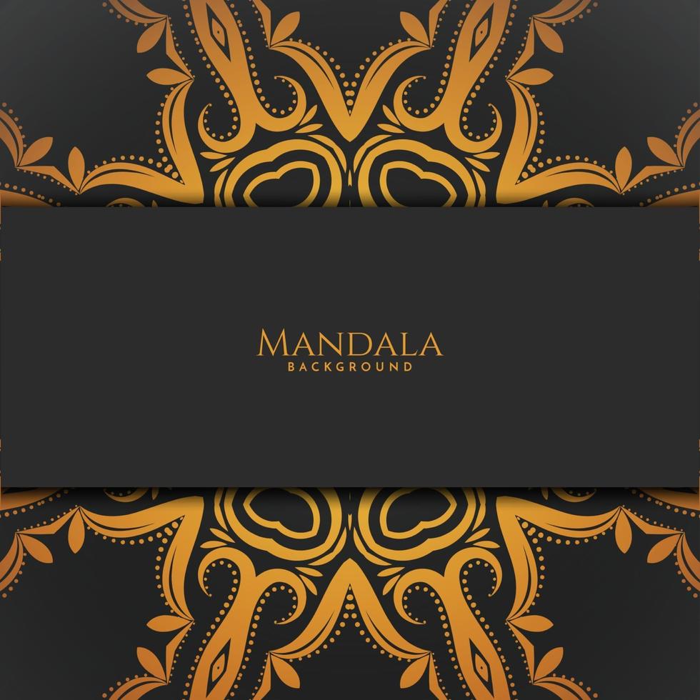 Luxury pattern beautiful mandala decorative isolated background vector