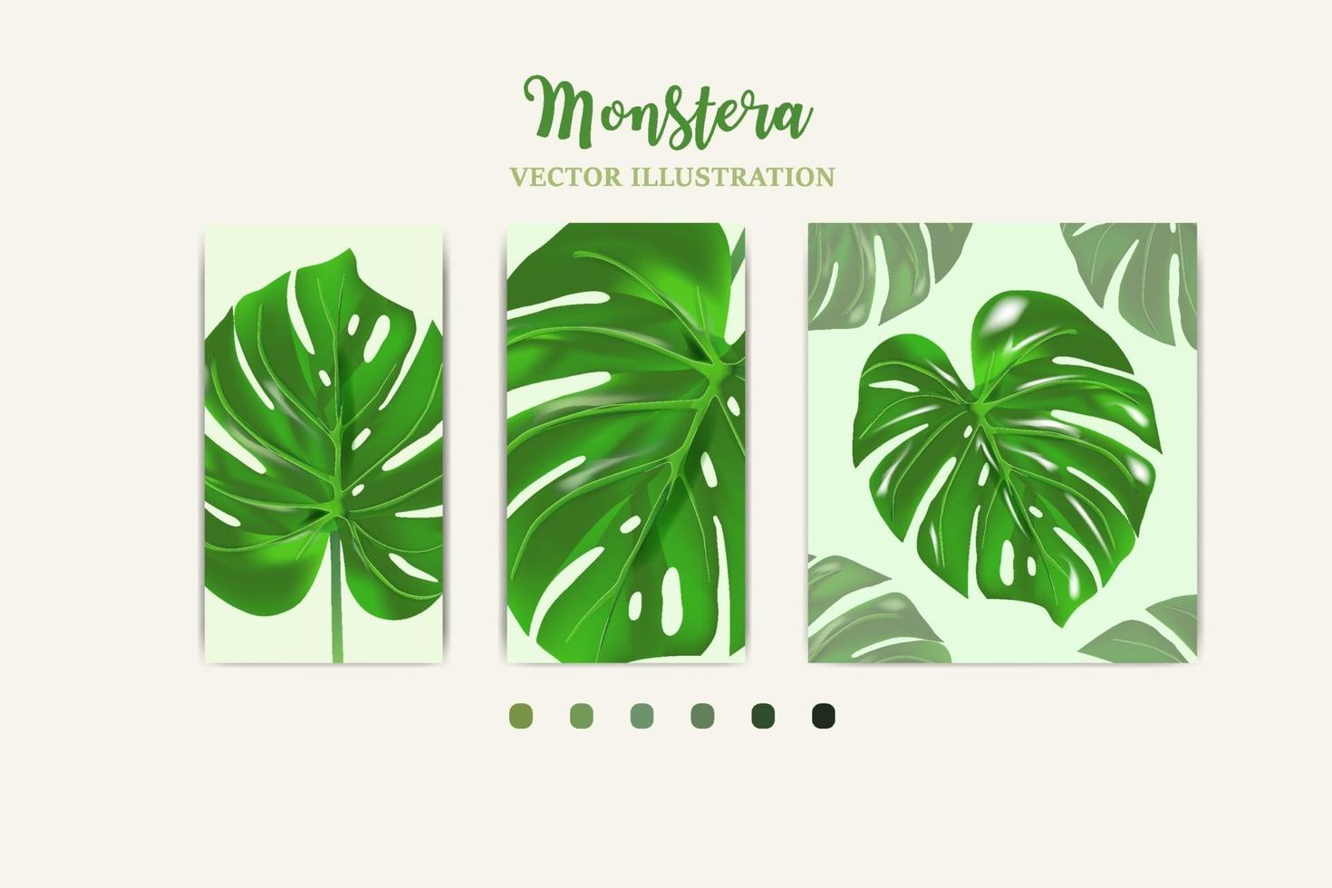 La hoja de la planta monstera de los bosques tropicales el cultivo en la imagen se puede usar para tarjetas de felicitación, volantes, invitaciones, diseño web para todo. vector