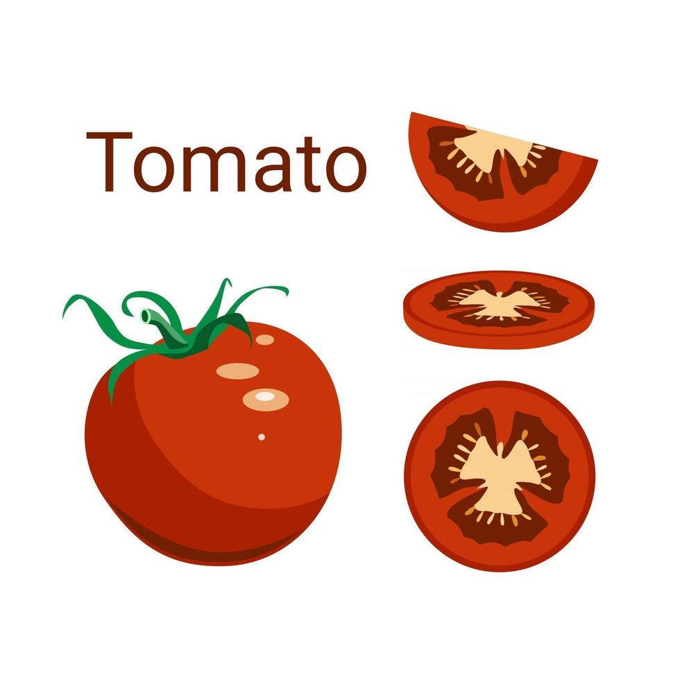 Vector red tomato with slices