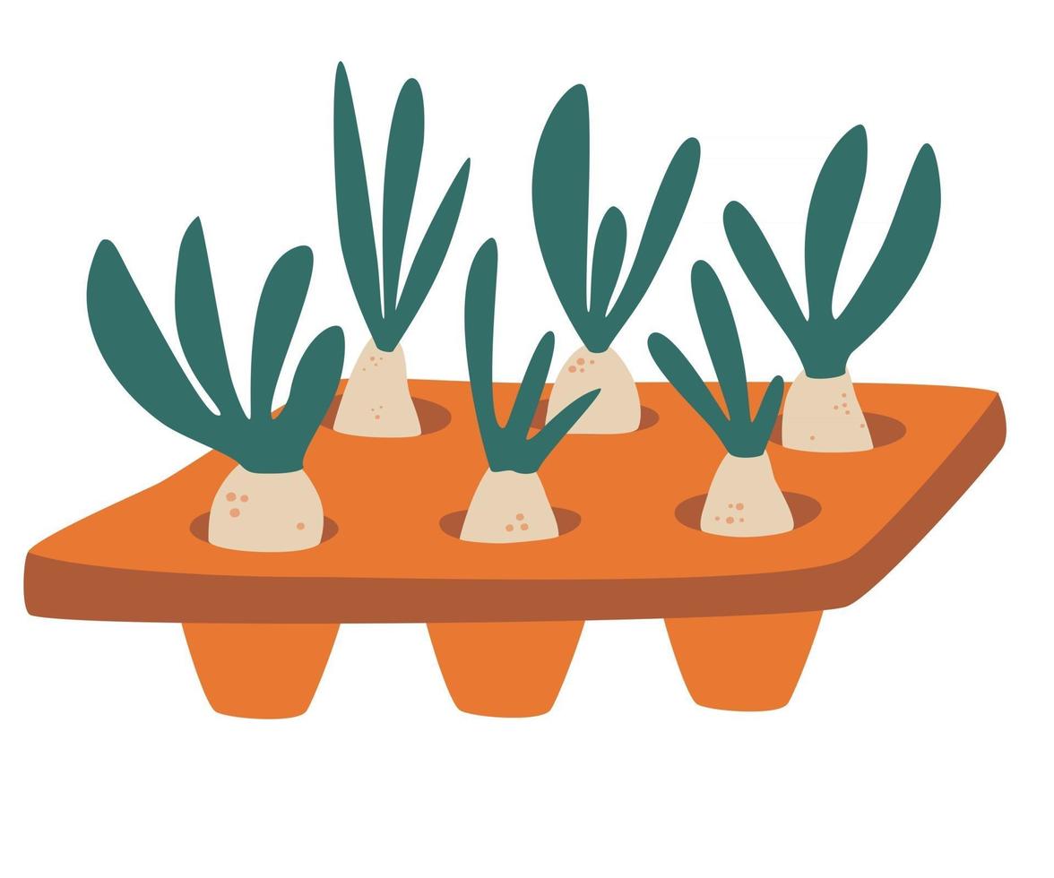 plántulas en la ilustración de la bandeja con una bandeja de plántulas llena de plantones naranjal doméstico y concepto de cuidado jardinería hobby ilustración vectorial en estilo de dibujos animados vector
