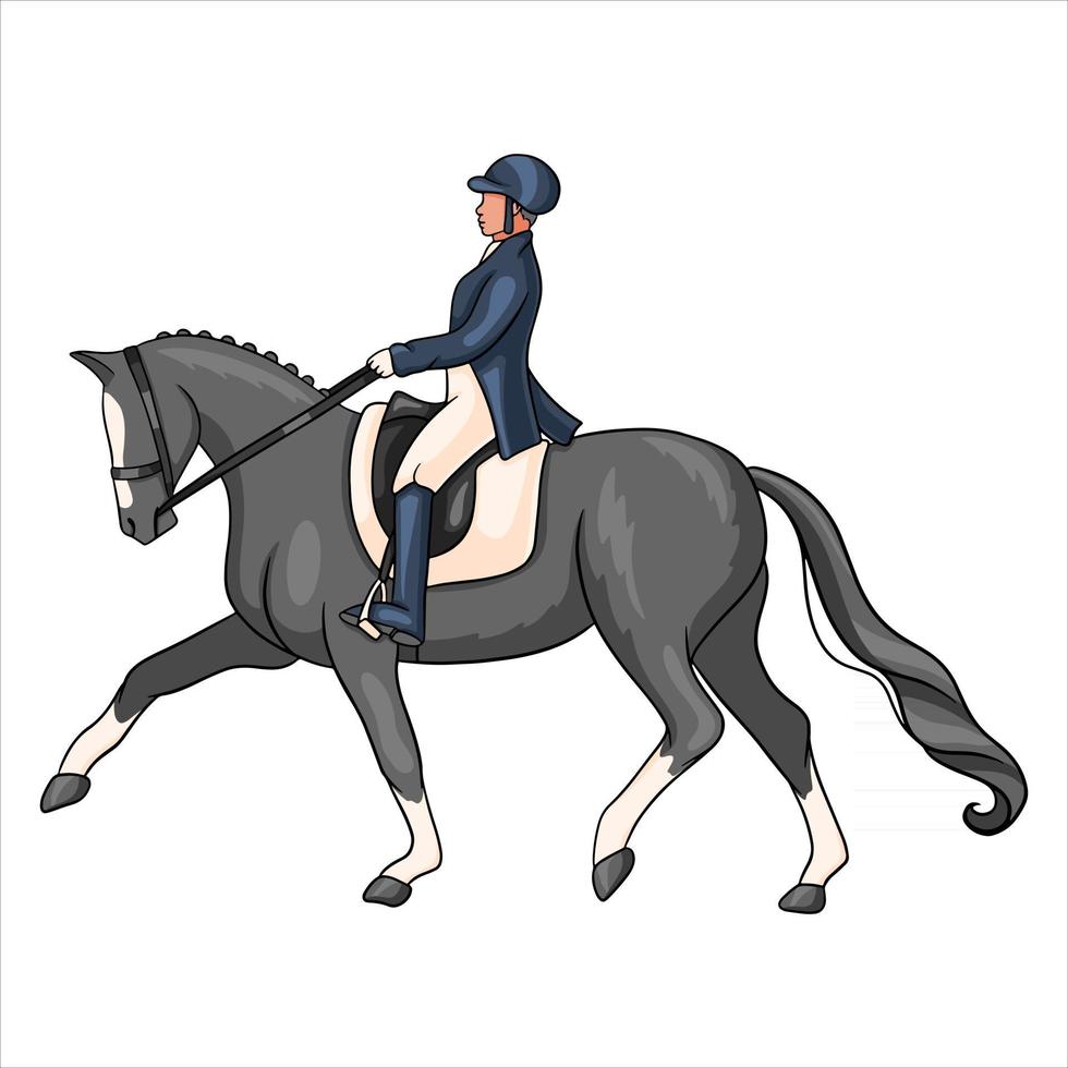 Horse Riding Woman Riding Dressage Horse in Cartoon Style vector