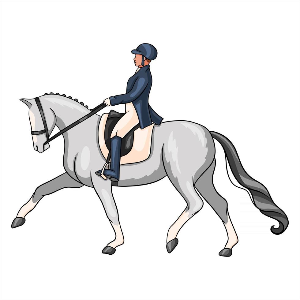 mujer de equitación montando caballo de doma en estilo de dibujos animados vector