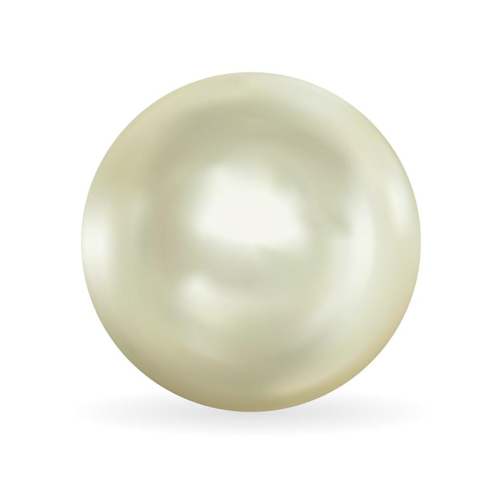 Realistic 3D Pearl isolated on white background vector