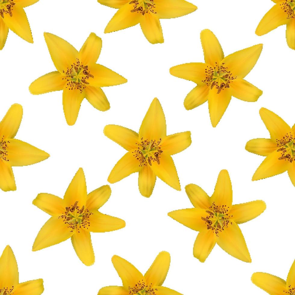 Yellow naturalistic lily flower on white Pattern background vector