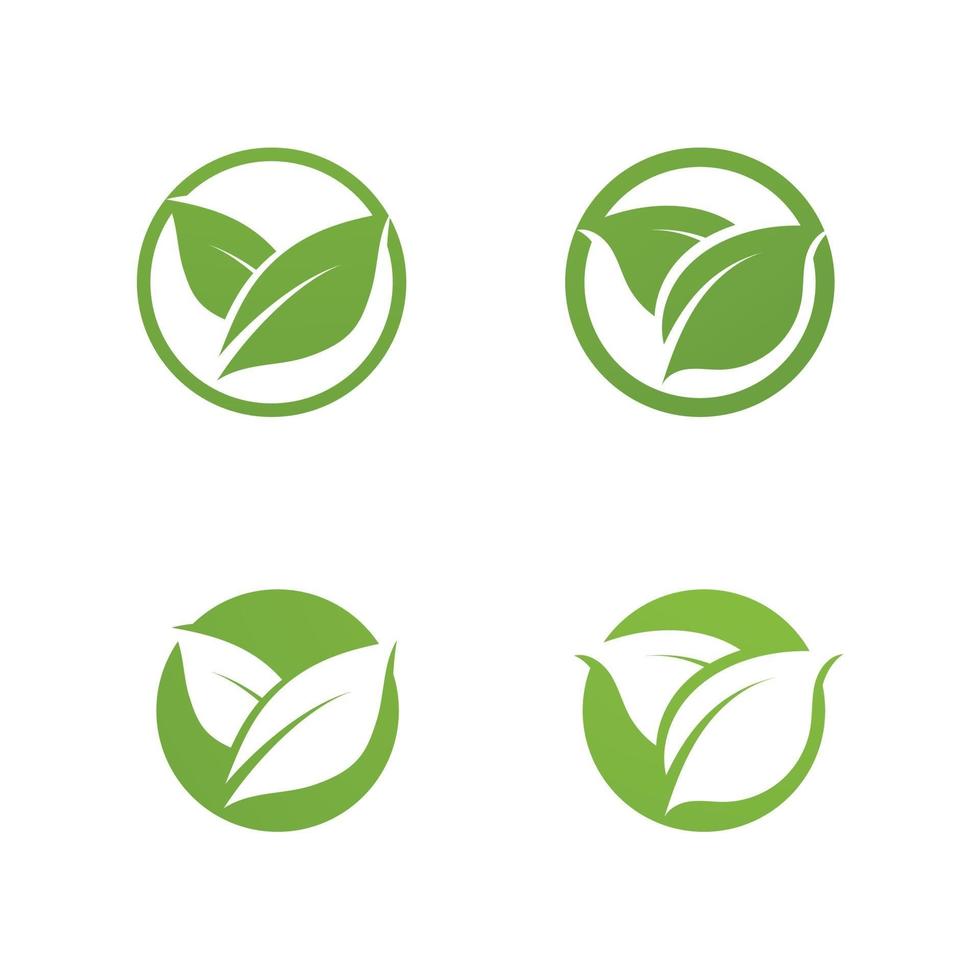 logotipos de la ecología de la hoja del árbol verde vector