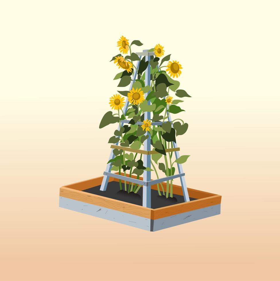 Home gardening sunflowers vector