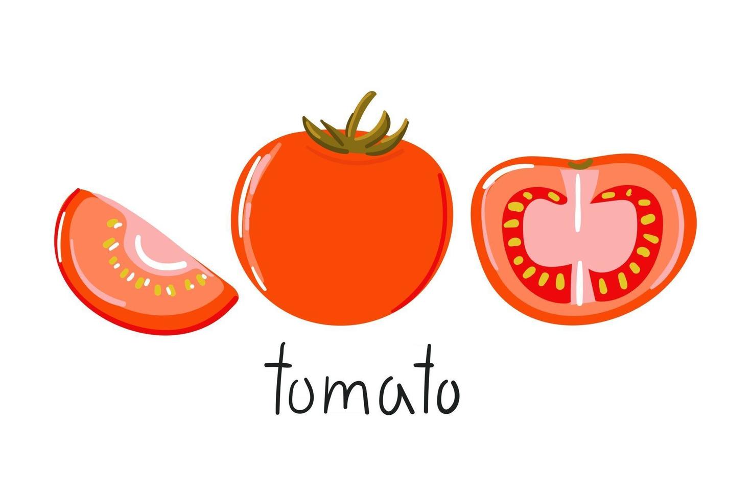 dibujado a mano media rodaja de tomate ilustración plana moderna vector