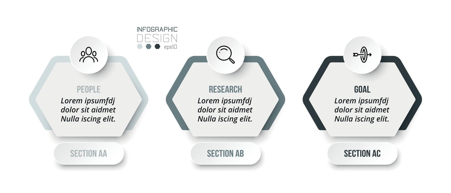 Plantilla de infografía de concepto de negocio con sección vector