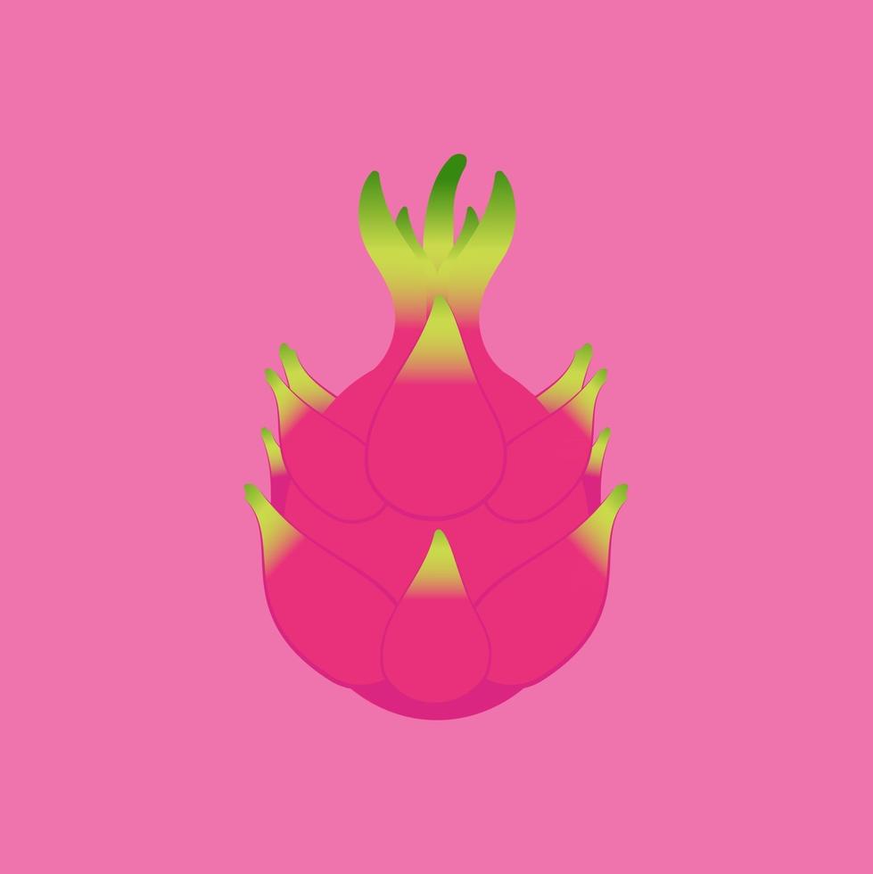 Stock Vector of Dragon Fruit