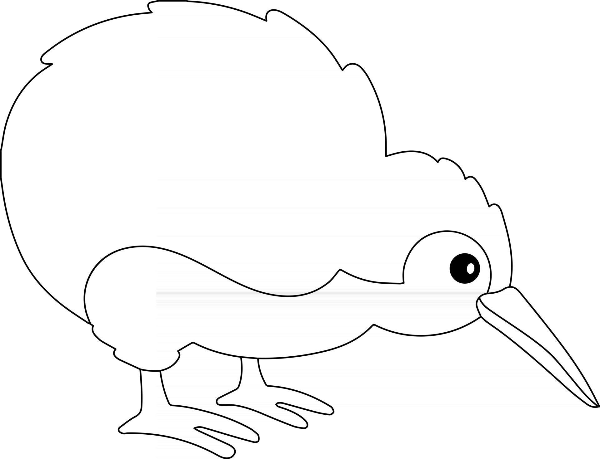 kiwi niños página para colorear ideal para principiantes libro para