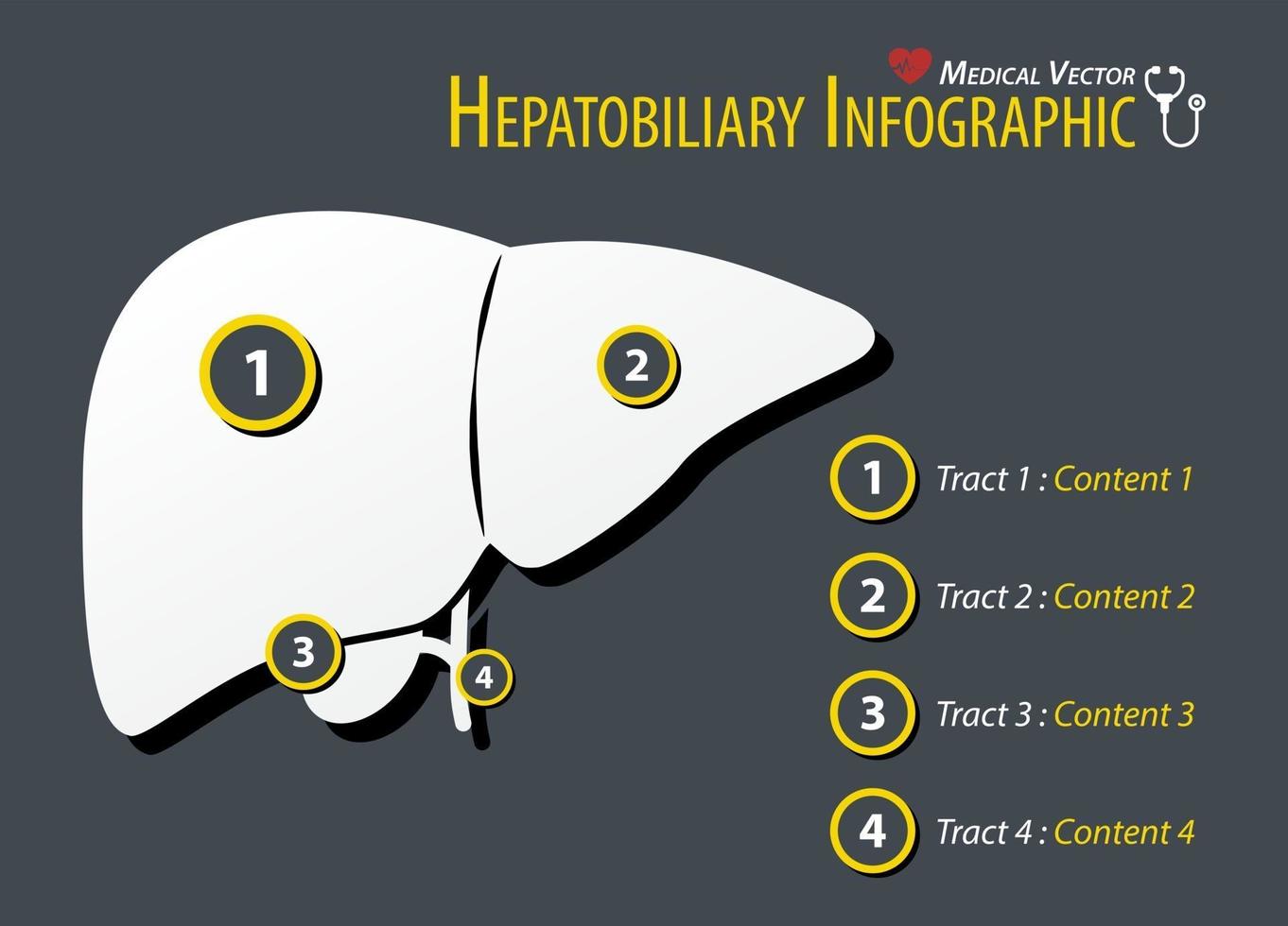 Hepatobiliary Infographic  Flat design vector