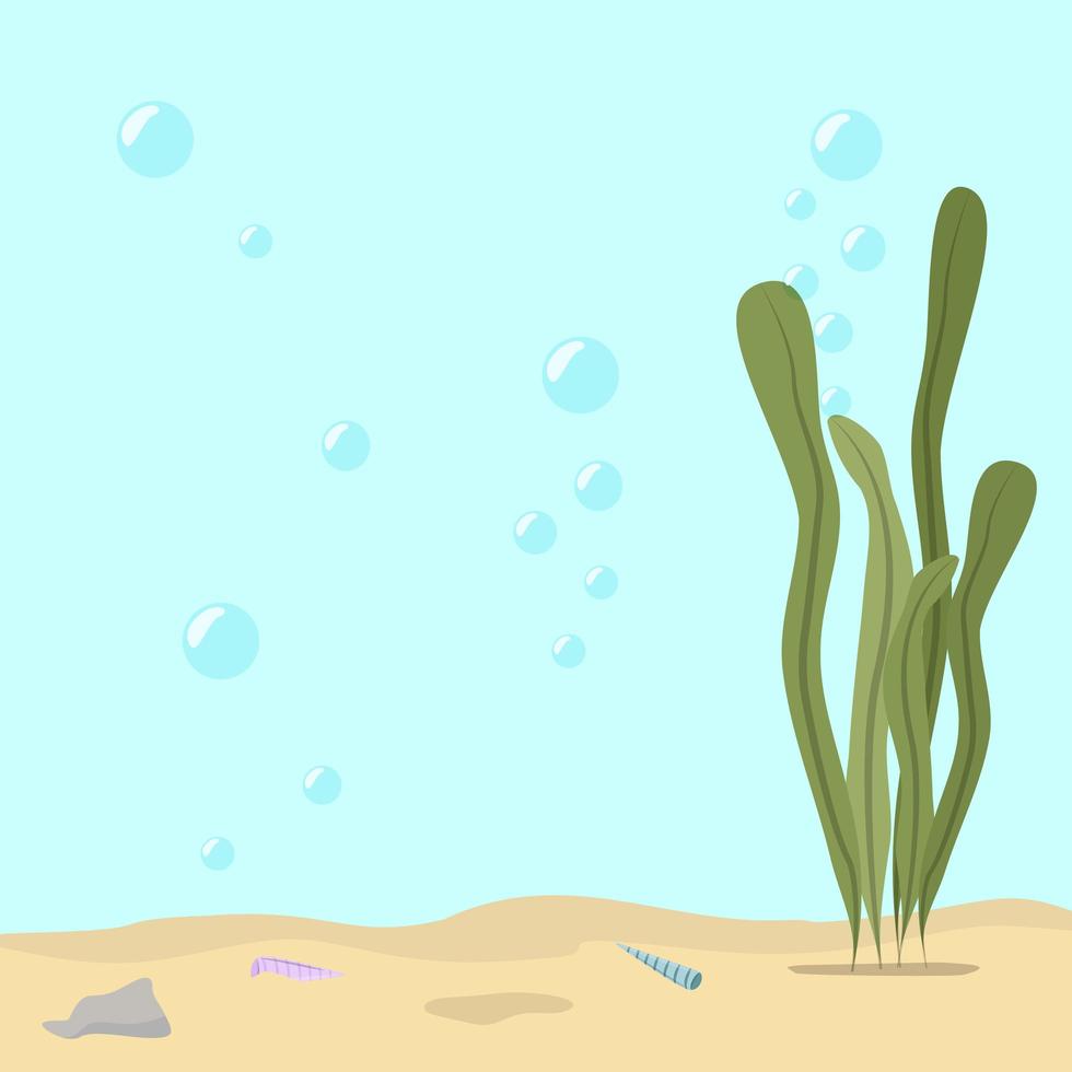 Sea floor landscape vector