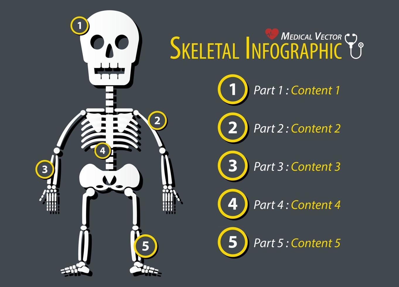 Skeletal Infographic  Flat design vector