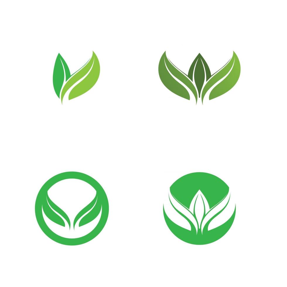 Tree leaf vector design eco friendly concept logo