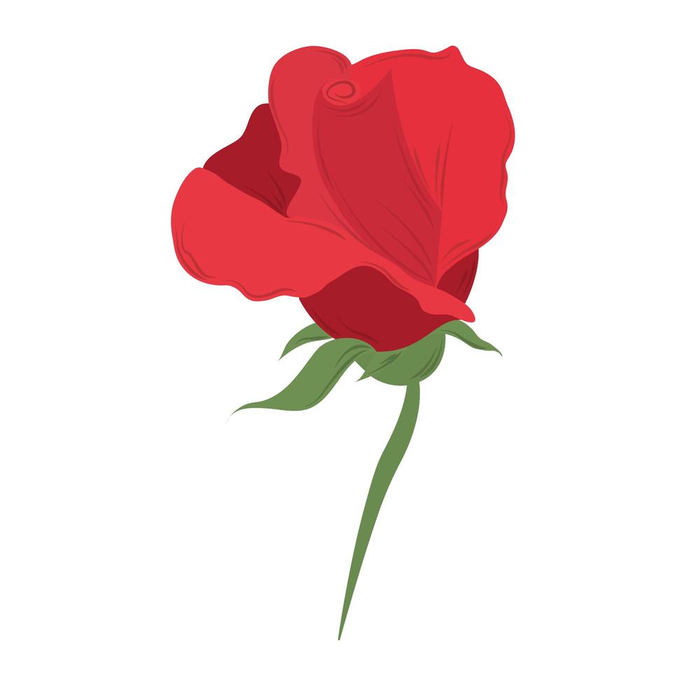 delicada flor rosa romántico icono aislado vector