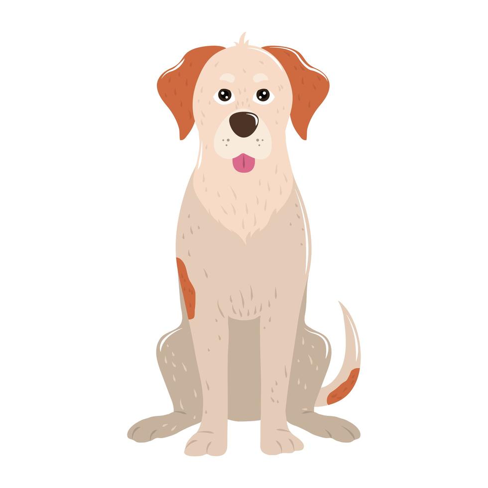 pet big dog animal sitting on white background vector