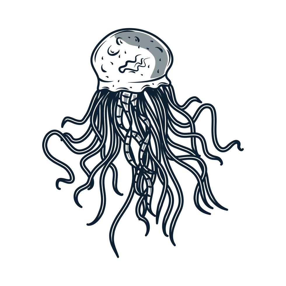 jellyfish tentacles sketch vector