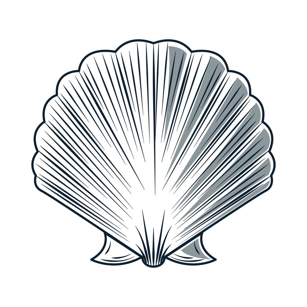 seashell creature sketch vector