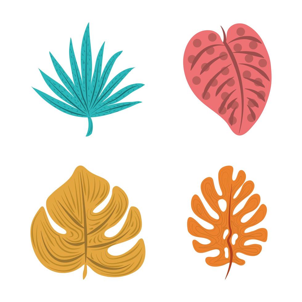 hoja de palmera tropical follaje naturaleza flora conjunto de iconos diseño plano vector